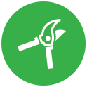 Property Maintenance