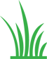 Lawn